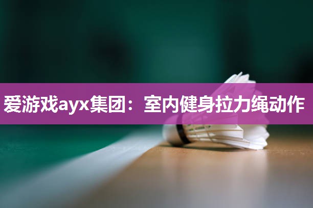 爱游戏ayx集团：室内健身拉力绳动作