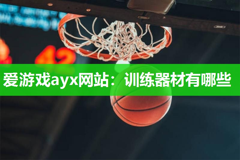 爱游戏ayx网站：训练器材有哪些