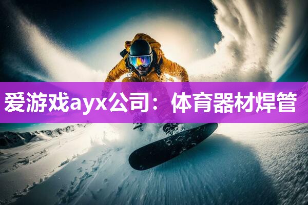 爱游戏ayx公司：体育器材焊管