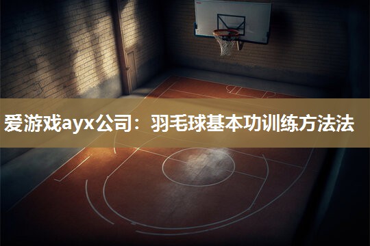 爱游戏ayx公司：羽毛球基本功训练方法法