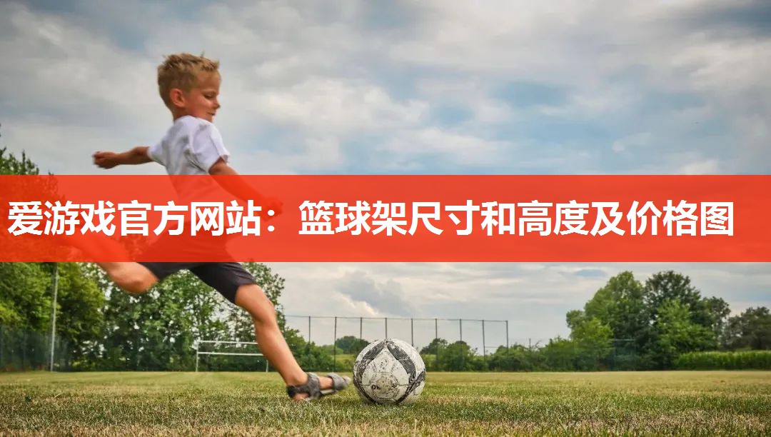 篮球架尺寸和高度及价格图