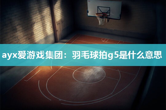 羽毛球拍g5是什么意思