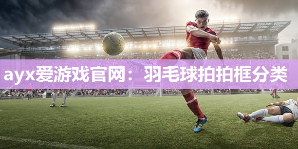 羽毛球拍拍框分类